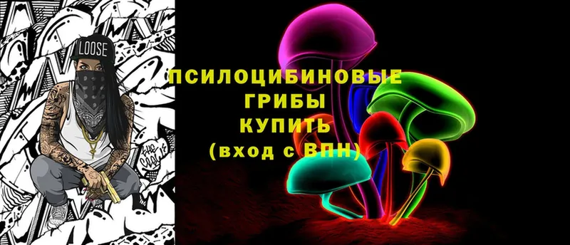 где купить   Бикин  Галлюциногенные грибы Cubensis 